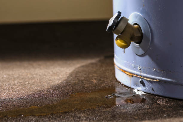Best Professional water damage repair  in Washington, NJ