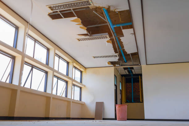 Best 24/7 water damage repair  in Washington, NJ
