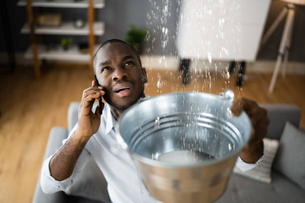 Best Ceiling water damage repair  in Washington, NJ