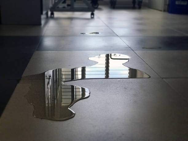 Best Local water damage restoration  in Washington, NJ