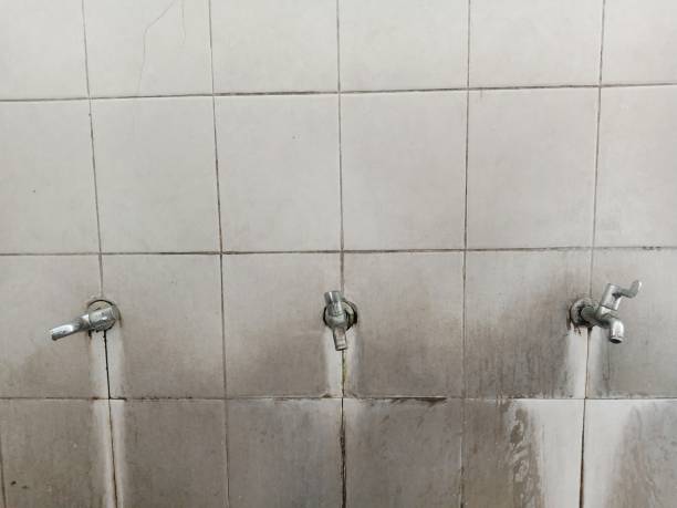 Best Sewage cleanup and water damage restoration  in Washington, NJ