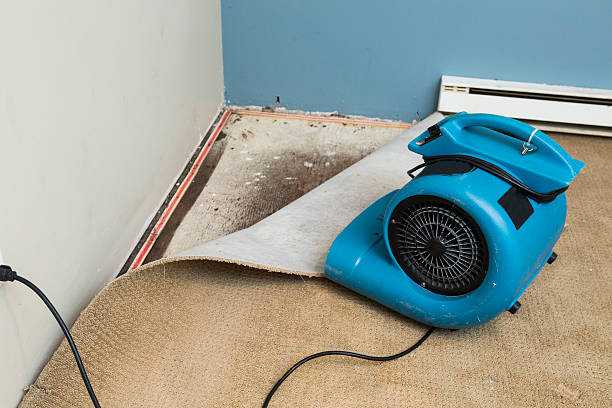 Best Water damage cleanup near me  in Washington, NJ